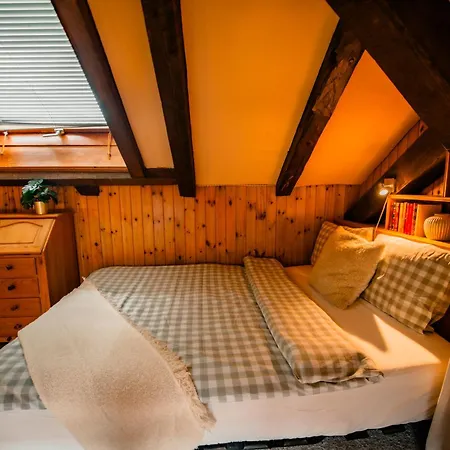 Duplex D'exception Face A La Dent Blanche * Evolène